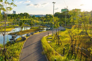 Yeşil ağaç parkındaki patika. Tropik orman manzarası.