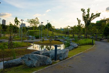Şehir parkındaki yol. Yeşil ağaç ormanı. Gün batımı.