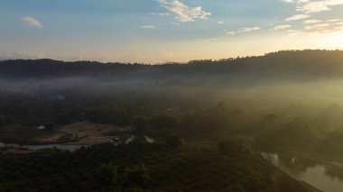 Tropik yağ palmiyesi, orman, dağ tepesi. Sabah güneşi, tarım endüstrisinin havadan görüşünü yükseltiyor.