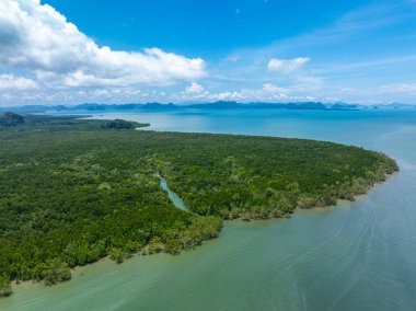 Hava manzaralı tropikal yağmur ormanları mangrov ağacı deniz körfezi doğa manzarası