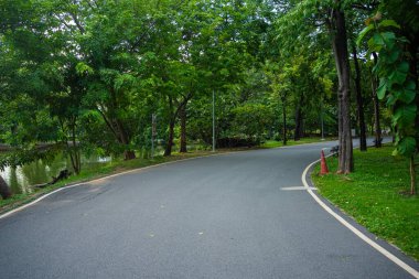 Ağaçlı güzel bir yol manzarası