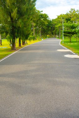 parkta boş asfalt yol