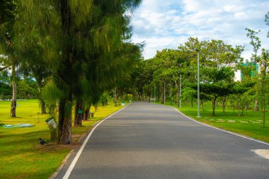 Şehirdeki boş park