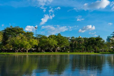 Modern ofis parkı yeşil sahne doğa ağacı orman parkı nehir mavisi gökyüzü ve bulutlu doğa manzarası