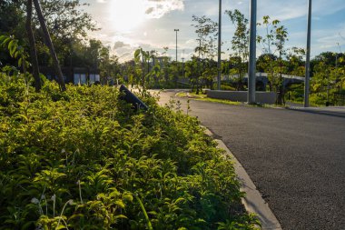 Şehir merkezindeki halk parkında asfalt yolda yürü ve koş.