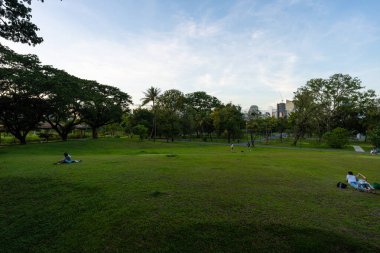 Şehir parkında tropik yağmur ormanları yeşil çayır çimenleri. Gün ışığı ve doğal manzara.