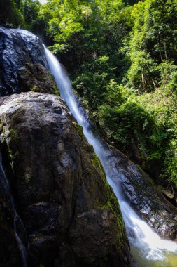 Yeşil yağmurlu ağaç manzaralı derin tropikal yağmur ormanlarında şelale Phangnga Tayland