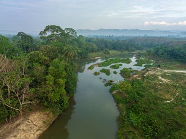 Hava manzaralı yeşil tropikal yağmur ormanı nehir eğrisi doğa manzarası