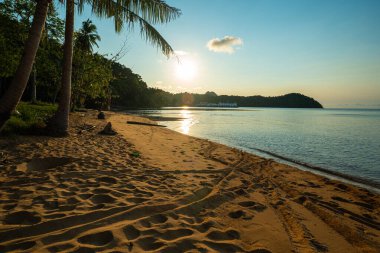 Deniz kumu, Hindistan cevizi palmiyesi tropikal orman mavi gökyüzü bulutu
