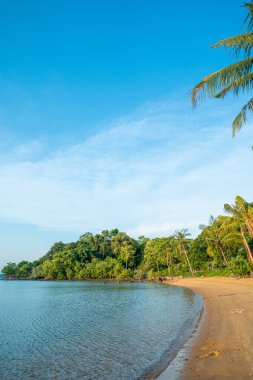 Deniz kumu, Hindistan cevizi palmiyesi tropikal orman mavi gökyüzü bulutu