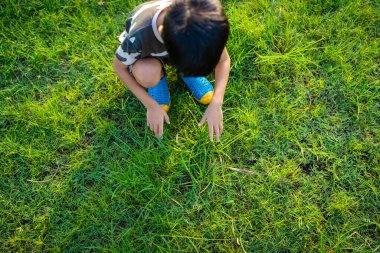 Küçük anaokulu çocuğu yeşil çimlerde oynuyor açık havada güneş ışığı doğada parkçı çocuk