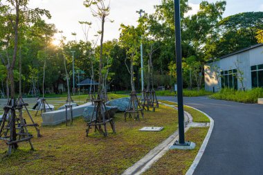 Şehir merkezindeki halk parkında asfalt yolda yürü ve koş.