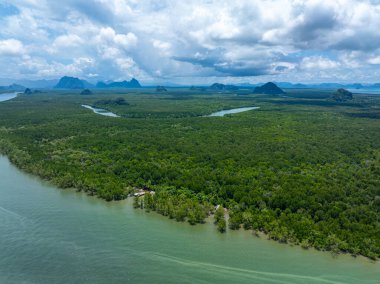 Hava manzaralı tropikal yağmur ormanları mangrov ağacı deniz körfezi doğa manzarası