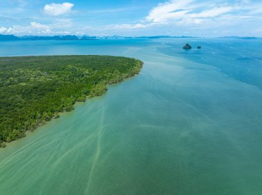 Hava manzaralı tropikal yağmur ormanları mangrov ağacı deniz körfezi doğa manzarası