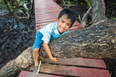 Mutlu küçük çocuk, mangrov ormanlarında gezmenin tadını çıkar. Tahta yürüyüş, doğanın öğrenme yolu.