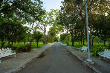 Yeşil Ağaç Şehri 'ndeki yol şehir yolu inşaatı ile halka açık park günbatımı ışığı