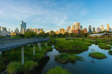 Yeşil şehir bataklık parkı. Gün batımı mavi gökyüzü bulutu yolu ve güzel ağaçlar yolda yürüyor. Park yerinde yeşil çimen tarlasında rahatça yürüyor..