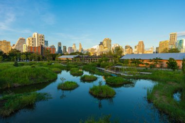 Yeşil şehir bataklık parkı. Gün batımı mavi gökyüzü bulutu yolu ve güzel ağaçlar yolda yürüyor. Park yerinde yeşil çimen tarlasında rahatça yürüyor..