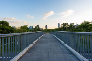 Yeşil şehir bataklık parkı. Gün batımı mavi gökyüzü bulutu yolu ve güzel ağaçlar yolda yürüyor. Park yerinde yeşil çimen tarlasında rahatça yürüyor..