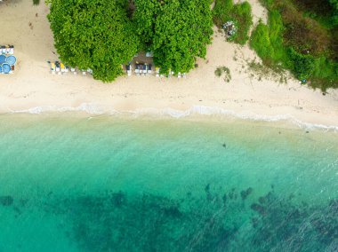 Yeşil tropikal palmiye ağacı yaz tatili arka planına sahip havadan beyaz kumlu deniz plajı.