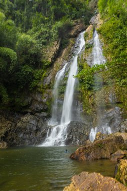 Yeşil yağmurlu ağaç manzaralı derin tropikal yağmur ormanlarında şelale Phangnga Tayland