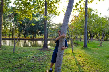 Küçük Asyalı okul çocuğu, şehir parkında büyük bir ağaçla oynamanın keyfini çıkar. Gün batımı aydınlık doğa arka planı.