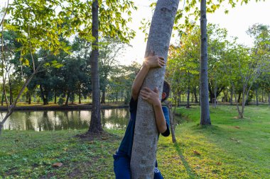 Küçük Asyalı okul çocuğu, şehir parkında büyük bir ağaçla oynamanın keyfini çıkar. Gün batımı aydınlık doğa arka planı.