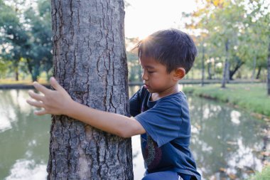 Küçük Asyalı okul çocuğu, şehir parkında büyük bir ağaçla oynamanın keyfini çıkar. Gün batımı aydınlık doğa arka planı.