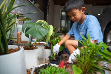 Küçük okul çocuğu, çocuk hobisi olarak oturma odasına canavar çiftliği dikiyor.
