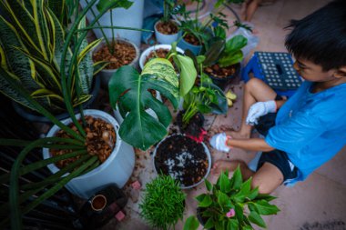 Küçük okul çocuğu, çocuk hobisi olarak oturma odasına canavar çiftliği dikiyor.