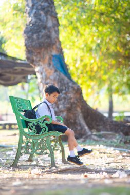 Küçük okul çocuğu şehir parkında çimenler hakkında kitap okudu. Gün batımı hafif doğa eğitimi.