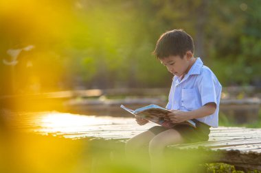 Küçük okul çocuğu şehir parkında çimenler hakkında kitap okudu. Gün batımı hafif doğa eğitimi.