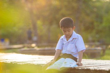 Küçük okul çocuğu şehir parkında çimenler hakkında kitap okudu. Gün batımı hafif doğa eğitimi.