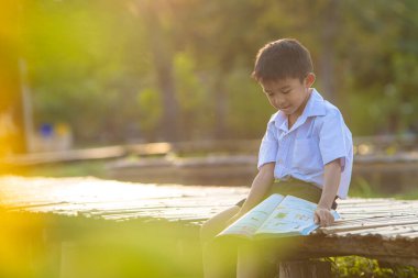 Küçük okul çocuğu şehir parkında çimenler hakkında kitap okudu. Gün batımı hafif doğa eğitimi.