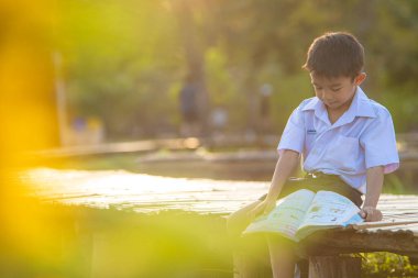 Küçük okul çocuğu şehir parkında çimenler hakkında kitap okudu. Gün batımı hafif doğa eğitimi.