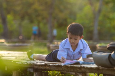Küçük okul çocuğu şehir parkında çimenler hakkında kitap okudu. Gün batımı hafif doğa eğitimi.