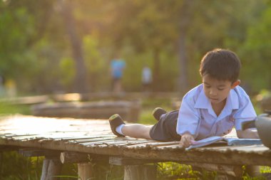Küçük okul çocuğu şehir parkında çimenler hakkında kitap okudu. Gün batımı hafif doğa eğitimi.