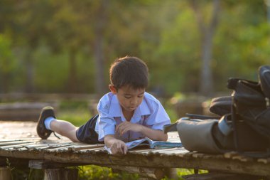 Küçük okul çocuğu şehir parkında çimenler hakkında kitap okudu. Gün batımı hafif doğa eğitimi.