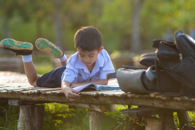 Küçük okul çocuğu şehir parkında çimenler hakkında kitap okudu. Gün batımı hafif doğa eğitimi.
