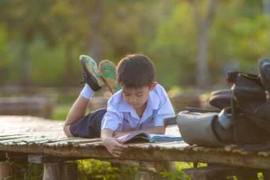 Küçük okul çocuğu şehir parkında çimenler hakkında kitap okudu. Gün batımı hafif doğa eğitimi.