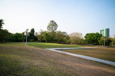 Tropikal halk ağacı parkında yeşil çayır çimen doğa manzarası