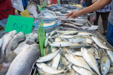 İnsanlar Tayland 'da yerel pazar gıda endüstrisinde deniz ürünleri satın alıyorlar.