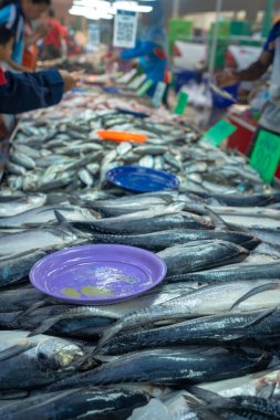 İnsanlar geleneksel balıkçılık gıda endüstrisinde seçilmiş deniz mahsulleri ton balıklarını elde tutuyorlar.