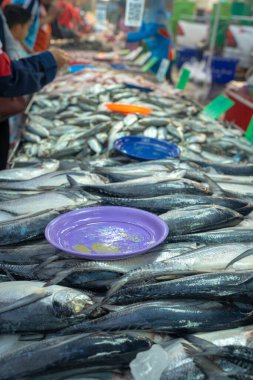 İnsanlar Tayland 'da yerel pazar gıda endüstrisinde deniz ürünleri satın alıyorlar.