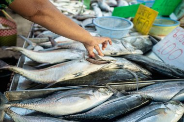 İnsanlar Tayland 'da yerel pazar gıda endüstrisinde deniz ürünleri satın alıyorlar.