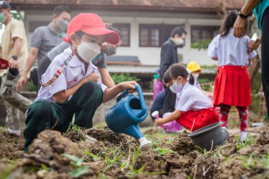 Anaokulu çocuk çiftliği tohumu dışarıda toprak aktivite mutlu çocuk doğa öğreniyor
