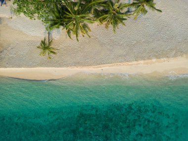 Hava manzaralı beyaz kum plajı dalgası tropikal yağmur ormanları yaz tatili arka planı