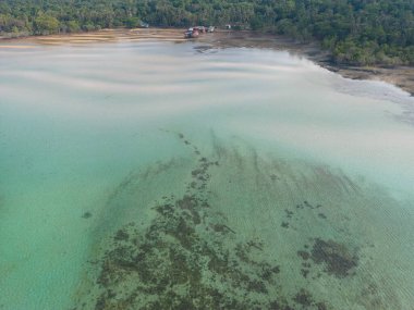 Hava manzaralı beyaz kum plajı dalgası tropikal yağmur ormanları yaz tatili arka planı