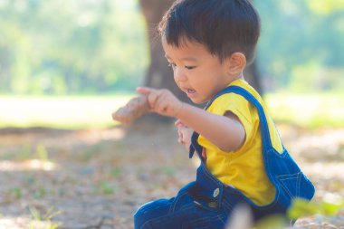 2 yaşındaki Asyalı çocuk yeşil çimen parkında parkında doğa bitkisi oynuyor.