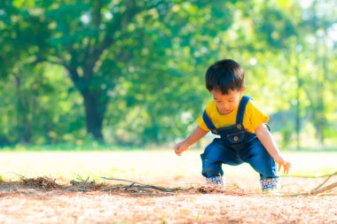 2 yaşındaki Asyalı çocuk yeşil çimen parkında parkında doğa bitkisi oynuyor.